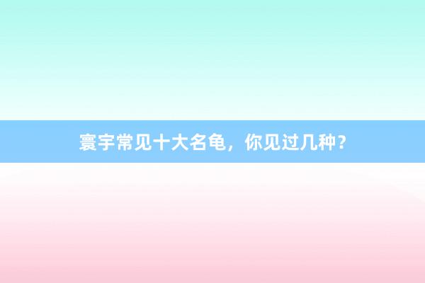 寰宇常见十大名龟，你见过几种？